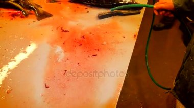 Yakından görmek güçlü erkek temizlik ölçekler ve kan tablo filleting eller. Yıkama ve in wiping balık kanı kalabalık ve ölçekler kaldırıldı. 
