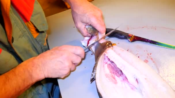 Werknemer schoonmaken en fileren van verse zeevis kabeljauw in een familie fabriek. Dorsal knippen en scheiding filets van vis beenderen, verwijderen van ingewanden. — Stockvideo