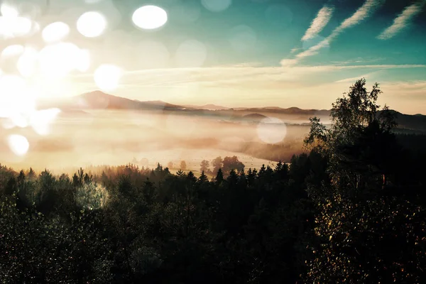 フィルムの効果。ザクセン スイス公園で素晴らしい夜明け。霧の背景から増加した砂岩峰 — ストック写真