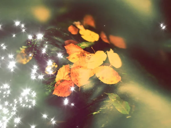 Filmeffekt. Umgestürzte Buchenblätter und Steine im Wasser des Gebirgsflusses. Herbstfarben. Symbol der Herbstsaison. orangefarbene Blätter — Stockfoto