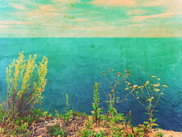 Filmeffekt. Grasstroh auf Aussichtspunkt über dem Meeresspiegel. Grashalme, blauer Wasserspiegel im Kontrast. — Stockfoto