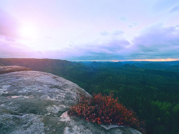 Melancholy sunrise above rocks and fresh green forest, colorful valley full of dense mist