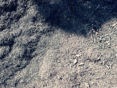 Berbat koku çürük ot. Hasat çürüme çim Bahçe Yeşil Höyük. 