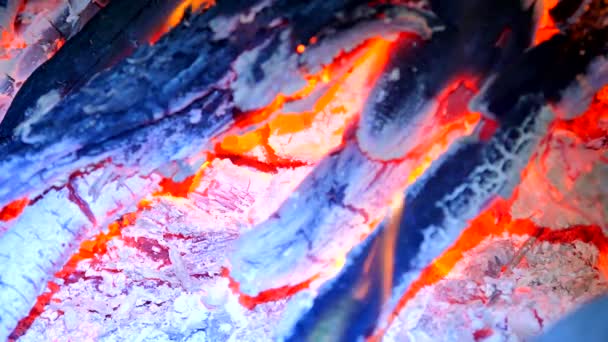Detalle de fuego azul de madera dura en llamas. Bosques ardiendo en el aire caliente del escalofrío. Pequeñas llamas de gas destilado están bailando y fluorescentes. Ceniza blanca fina cubre los pedazos ardientes de madera . — Vídeos de Stock