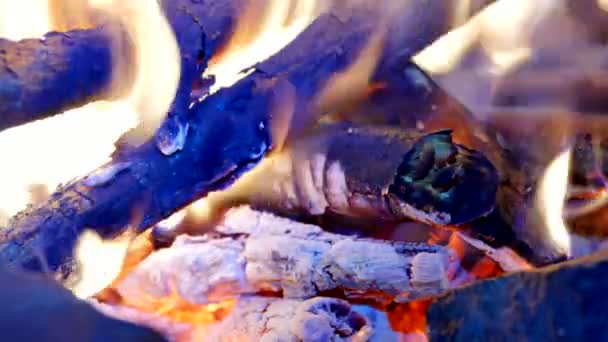 Bruciare il legno duro in dettaglio. I boschi ardenti tremano nell'aria calda e le fiamme dolci fluiscono. La cenere bianca copre i pezzi di legno in fiamme . — Video Stock