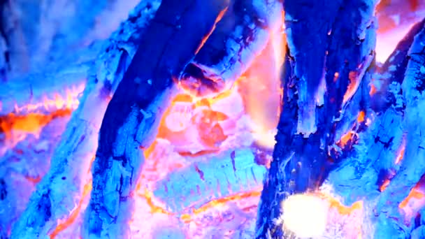 Detalle de fuego azul de madera dura en llamas. Bosques ardiendo en el aire caliente del escalofrío. Pequeñas llamas de gas destilado están bailando y fluorescentes. Ceniza blanca fina cubre los pedazos ardientes de madera . — Vídeos de Stock