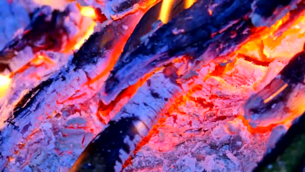 Detalhe do fogo azul de lenha queimada. Florestas a arder em ar quente. Pequenas chamas de gás destilado estão dançando e fluorescendo. Cinza branca fina cobre os pedaços de madeira em chamas . — Vídeo de Stock