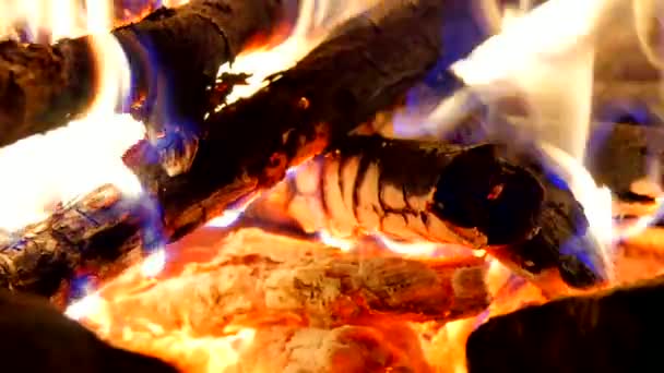 Burning hardwood in detail. Burning woods shiver in hot air and gentle flames  fluorescing.  White ash covers the burning pieces of wood. — Stock Video