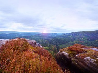 Bulutlu dağlık manzara. Kuru çiçek açan üzerinde heather görünümü bush kayalık gulch ile derin orman tam içine.