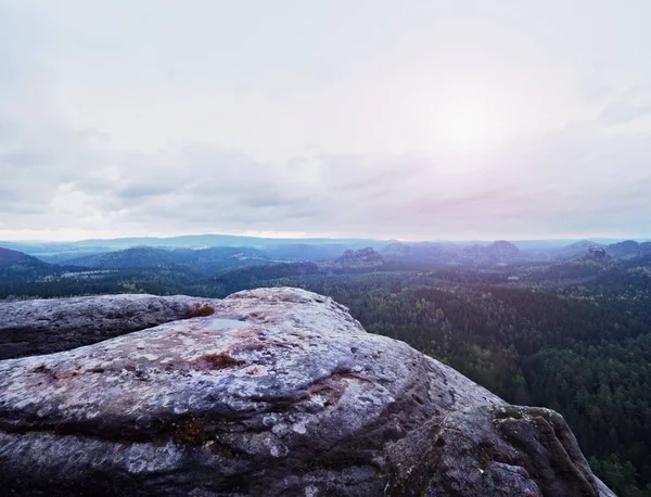 Melancholischer Sonnenaufgang über Felsen und frischem grünen Wald, buntes Tal voller dichter Nebelschwaden — Stockfoto