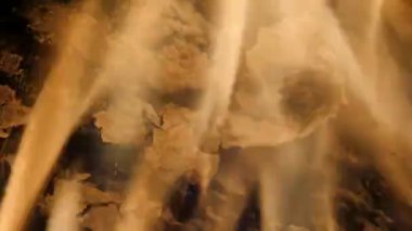 Büyüleyici yangın. Kömür ve odun yanan. Ormanda ürperti yakıcı sıcak hava ve nazik Floresanda alevler. 