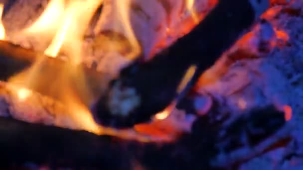 Api yang menarik. Arang dan kayu bakar terbakar. Burning woods shiver in hot air and gentle flame fluorescing . — Stok Video