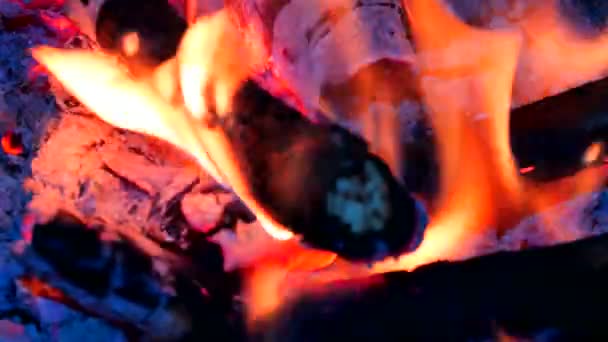 Dark live coals. Burning hardwood in detail. Burning woods shiver in hot air and gentle flames fluorescing. White ash covers the burning pieces of wood. — Stock Video