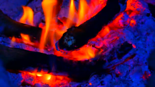 Carbón vivo oscuro. Quemando madera dura en detalle. Las maderas ardientes tiemblan en el aire caliente y las llamas suaves fluorescentes. Ceniza blanca cubre los pedazos ardientes de madera . — Vídeo de stock