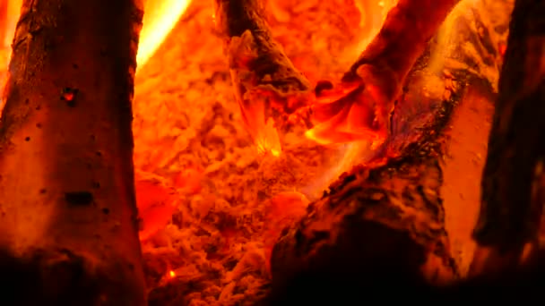 Dark live coals. Burning hardwood in detail. Burning woods shiver in hot air and gentle flames fluorescing. White ash covers the burning pieces of wood. — Stock Video