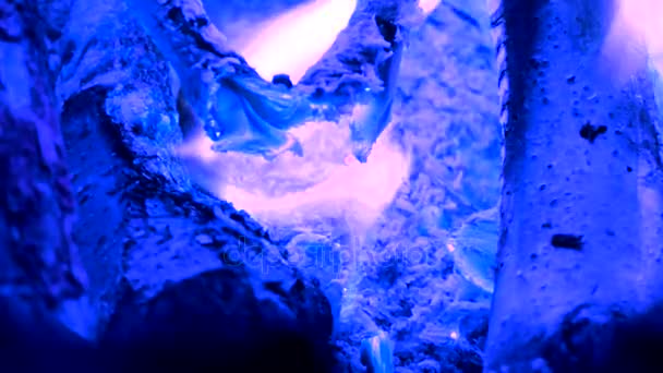 Intense blue flames blazing in fireplace. Burning woods shiver in hot air and blue flames fluorescing. White ash covers the burning pieces of wood. — Stock Video