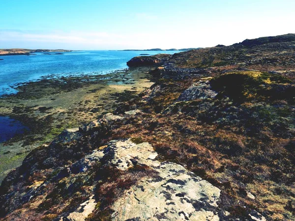 Kuzey Denizi taşlı kıyısında. İlk sıcak bahar günü, zavallı çim üzerinde kayalık yamaç kuru.