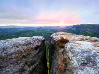 Kayalar ve taze yeşil orman, renkli Vadisi yoğun sis tam yukarıda melankoli gündoğumu 