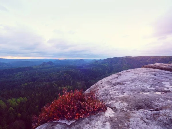 Penhasco rochoso com arbusto de urze colorido, ravina cheia de névoa suave e sol está escondido na nuvem . — Fotografia de Stock