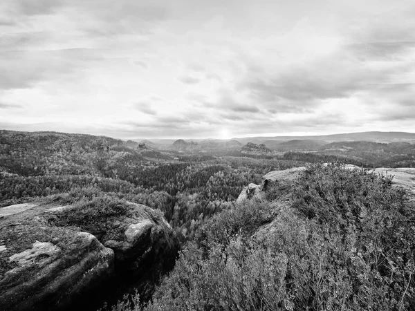 Paesaggio collinare nuvoloso. Vista sul cespuglio di erica secca in fiore in un golfo roccioso pieno di foresta profonda . — Foto Stock