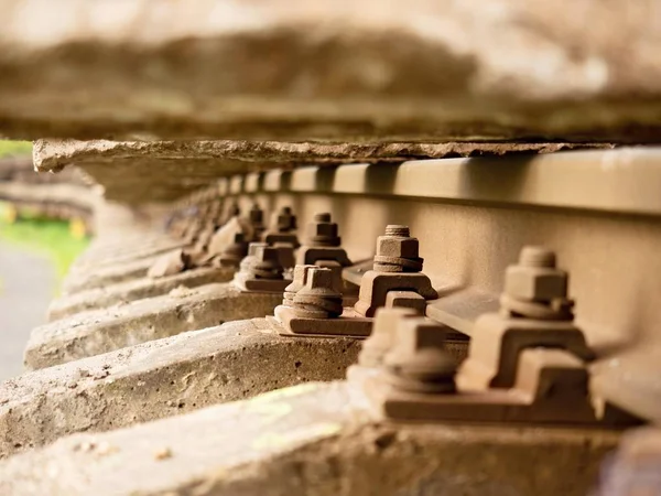 Odak seçici alan. Paslı vida ve fındık eski tren yolu üzerinde detay