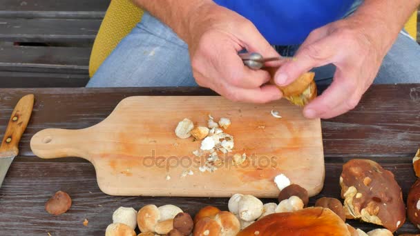 Limpieza de setas silvestres con cuchillo de cocina en manos viejas. Las manos del hombre toman cuidadosamente setas y quitan arcilla o raíces del tallo — Vídeos de Stock