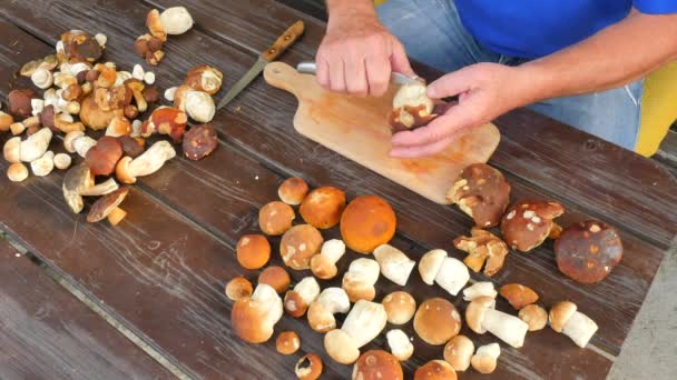 Уборка диких грибов кухонным ножом в старых руках. Мужские руки бережно берут грибы и удаляют глину или корни из стебля — стоковое видео