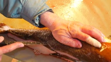 Temizlik ve taze deniz Morina balığı bir aile fabrikasında filleting işçi. Dorsal kesim ve ayırma fileto balık kemikleri, cesaret kaldırma gelen. 