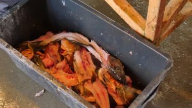 Bir plastik atık kutusuna bir adam atar kanlı balık iskeleti. Morina balığı fileto balık kalça itibaren çıkardıktan sonra iskelet. Ağır kauçuk erkek bacak çizme adımları sandık. 