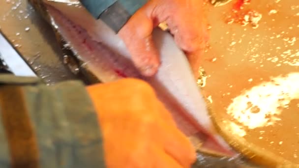 Preparación de pescado recién capturado. Las manos cortan el bacalao, quitan y comprueban los hígados. Las manos controlan las vísceras y la separación de filetes de los huesos. Las manos cortan aletas, branquias, revisan hígados de pescado, eliminan tripas . — Vídeos de Stock