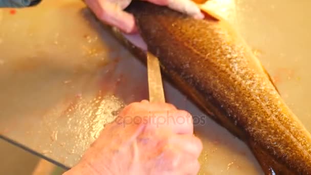 Подготовка свежей рыбы. Руки режут свежую рыбу из трески, удаляют и проверяют печень. Контроль кистей рук и отделение филе от костей . — стоковое видео
