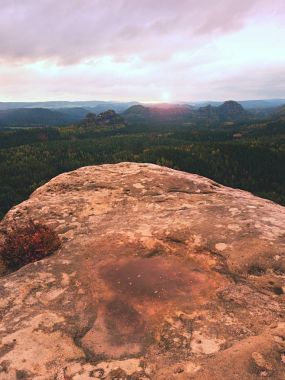 Kayalar ve taze yeşil orman, renkli Vadisi yoğun sis tam yukarıda melankoli gündoğumu 
