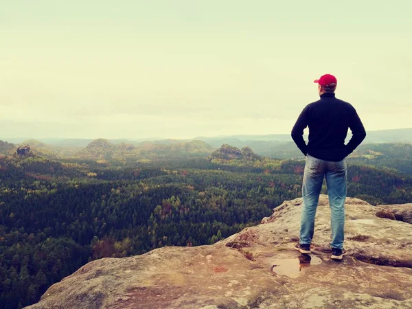 수평선을 찾고. 남자 위에 울창 한 숲 이나 정글 바위에 앉아서 보기를 즐길 수. — 스톡 사진