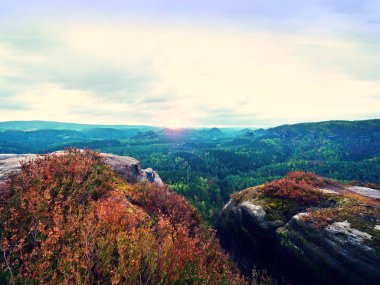 Renkli heather bush, gulch hafif sis ve güneş dolu ile kayalık uçurum bulut içinde gizlidir.