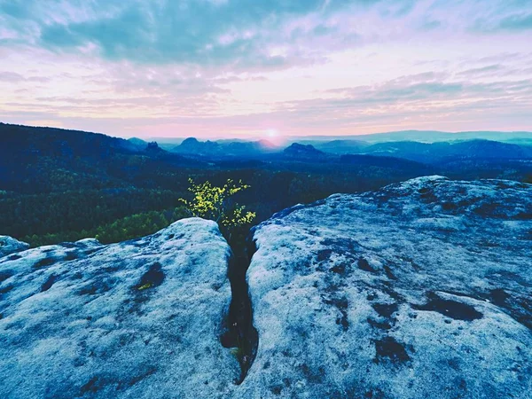 Frühlingsmorgens Natur. die rissige Sandsteinklippe über dem Waldtal, am Horizont die Morgensonne — Stockfoto