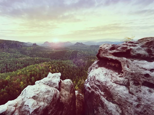 Mattina vista sul bordo di arenaria crack nella valle del bosco, alba Sole all'orizzonte . — Foto Stock