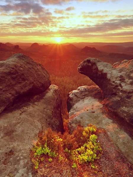 Çatlamak kumtaşı kenar üzerinde sabah görünüme orman Vadisi, şafak Güneş ufuktan. — Stok fotoğraf