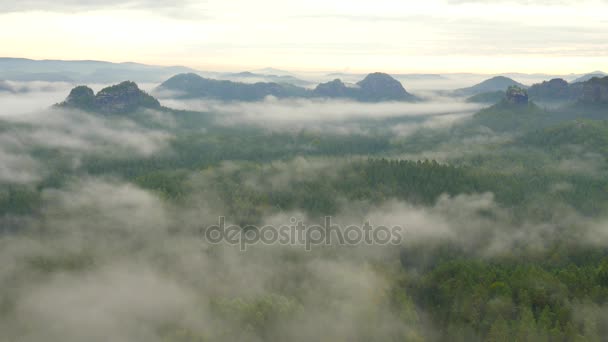 森林景観の春の霧の朝。周りを見る。壮大な山脈は、照明霧をカットします。カラフルな霧の深い谷が多いし、岩の丘太陽に固執しています。. — ストック動画