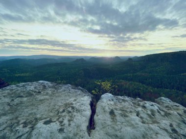 Sabah Doğa bahar. Kırık kumtaşı cliff orman Vadisi yukarıda daybreak güneş ufka