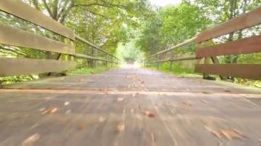 Kararsız hızlı hareket renkli düşmüş ölümüyle yağmur sonrası ıslak yolda döşeme sonuçlandı. Çürük akçaağaç, aspen huş ağacı yaprakları ve boş kaygan asfaltta döşeme sokak sonra Yağış.