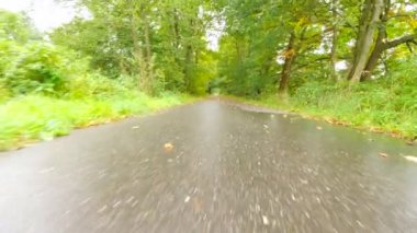 Kararsız hızlı hareket renkli düşmüş ölümüyle yağmur sonrası ıslak yolda döşeme sonuçlandı. Çürük akçaağaç, aspen huş ağacı yaprakları ve boş kaygan asfaltta döşeme sokak sonra Yağış.