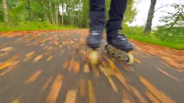 Patinaje en línea al aire libre sobre asfalto húmedo y resbaladizo en bosque otoñal. Piernas de hombre en pantalones negros. Movimiento rápido de las botas en línea en el camino cubierto con hojas de colores otoñales .. — Vídeo de stock