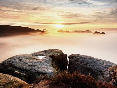 Keskin kumtaşı kenar üzerinde uzun vadide ilk sonbahar sis tam görüntüleyin. Sisli orman Vadisi Milli park ben