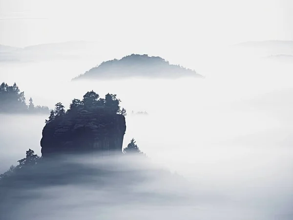 Pemandangan berkabut di lembah indah Saxony Swiss. Puncak batu pasir meningkat dari kabut tebal . — Stok Foto