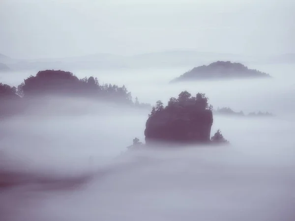 Visa in dimmiga dalen. Höga träd och klipptoppar ökade från tjock dimma. De första solstrålarna — Stockfoto