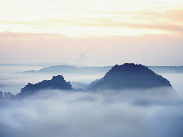 Paisaje de ensueño perdido en una espesa niebla. Fantástica mañana brillante por la luz del sol suave, valle brumoso . —  Fotos de Stock