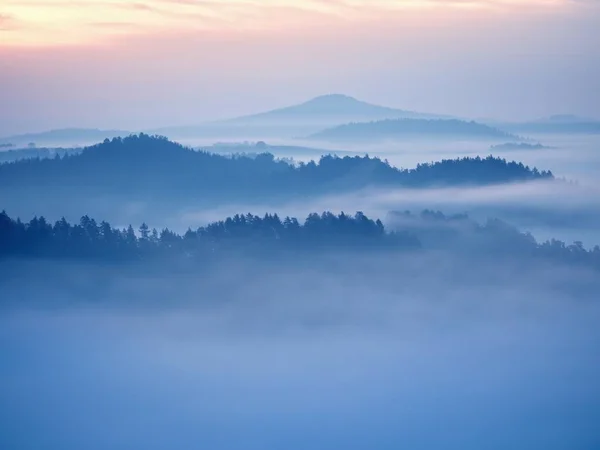 Paesaggio da sogno perso nella fitta nebbia. Splendida mattina illuminata dalla luce del sole, valle nebbiosa . — Foto Stock