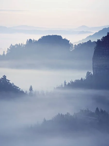 View into misty valley. High trees and rocky peaks increased from thick fog.  The first sun rays — Stock Photo, Image