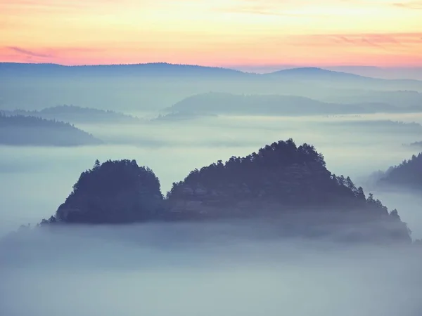Dreamy landscape lost in thick fog. Fantastic morning glowing by gentle sunlight, foggy valley. — Stock Photo, Image
