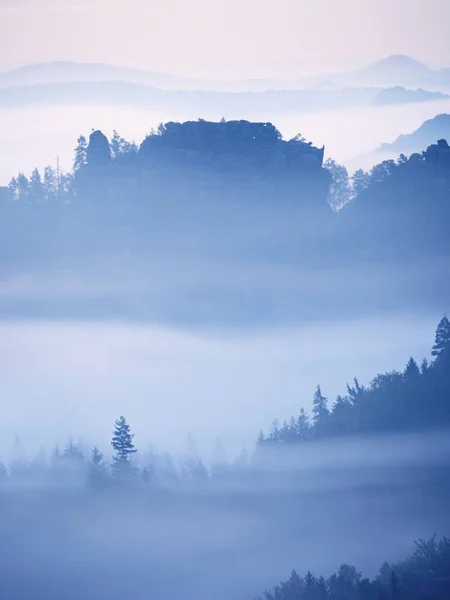 Paisaje de ensueño perdido en una espesa niebla. Fantástica mañana brillante por la luz del sol suave, valle brumoso . —  Fotos de Stock